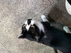 -荔园小馆(园岭新村二期店)