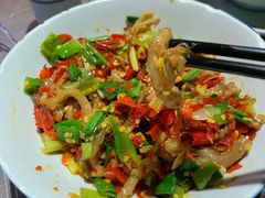 鸭掌筋-壹盏灯(惠农店)