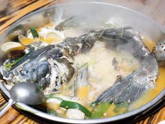 水库鱼-侠成水上农庄(工业大道店)
