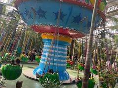 -南宫五洲植物乐园