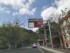 -海南热带雨林国家公园吊罗山景区