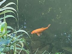 -水底山庄园温泉