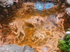 -綱元·海鲜豆捞(明州里店)