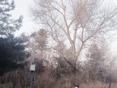 -长春市南湖公园