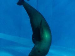 -北戴河圣蓝海洋公园