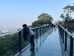 -黄埔油麻山森林公园