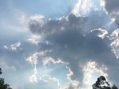 -芭厘农庄老字号·清远鸡