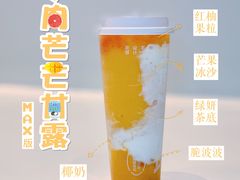 多肉芒芒甘露MAX-喜茶(天津乐宾百货店)