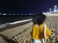 -芽庄喜来登水疗酒店