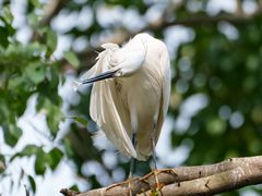 -Sony Store索尼(广州正佳店)