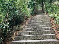 -梧桐山风景名胜区