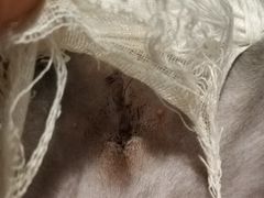 -纳吉亚猫专科动物诊疗中心(蒋宅口分院)