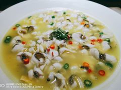 青花椒一代（小分）-青花椒花椒鱼(合生汇店)