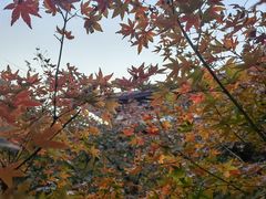 -莆田南少林寺