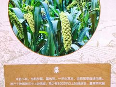 -北京古代建筑博物馆
