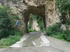 -黑河国家森林公园