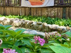 -沂蒙山旅游区云蒙景区(蒙山国家森林公园)