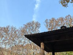 -习家池
