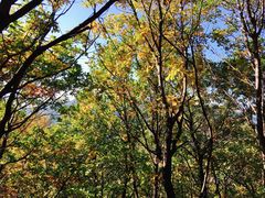 -野三坡百草畔景区