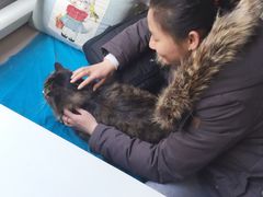 Anne猫窝咖啡屋-Anne猫窝咖啡屋