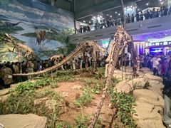 -自贡恐龙博物馆