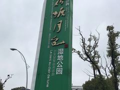 -荷塘月色湿地公园·向阳花洲
