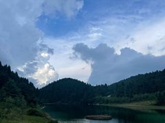 -武陵山森林公园