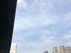 -维园港式茶餐厅(龙岗盛平店)