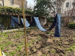 -中国蓝印花布馆