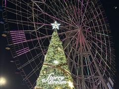 -南昌之星摩天轮