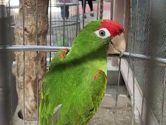 -南宫五洲植物乐园