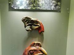 -世界恐龙谷景区