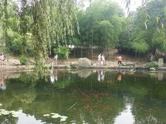 -白马涧龙池景区