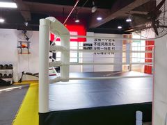 -成泰格斗(环球商业广场店)