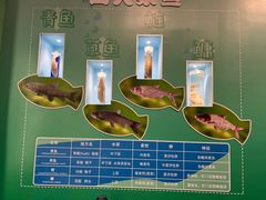 -天津自然博物馆