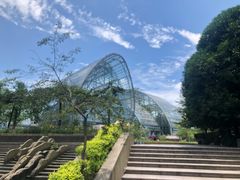 -南山植物园