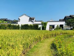-禾悦庄餐厅