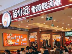 -苗小坛贵州酸汤鱼(百乐店)