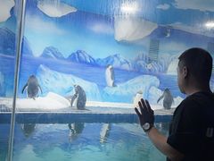 -重庆欢乐海底世界