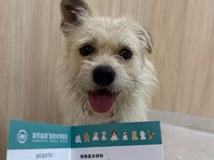 -谐和益家动物医院·免疫绝育·血液透析·宠保定点医院(高新伊藤分院)