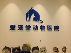 -瑞鹏宠物医院·爱宠堂(环西分院)