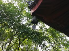 -汇龙潭