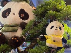 -蓉城小馆(科兴店)