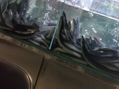 -本炙炭烤·蒲烧活鳗料理店(金沙洲店)