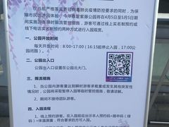 -嘉定紫藤园