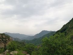 -大岭沟猕猴桃谷风景区