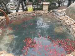 -观唐（国际）度假村温泉