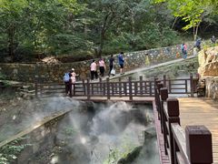 -北京西山国家森林公园