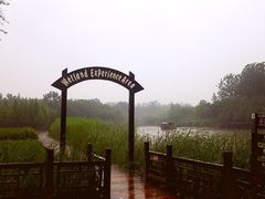 溱湖国家湿地公园-溱湖国家湿地公园