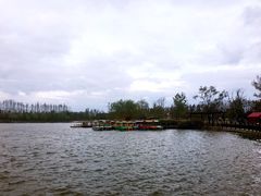 -上海长兴岛郊野公园